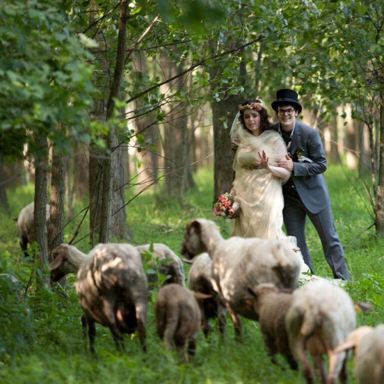 cseh gabor wedding photography regina 1