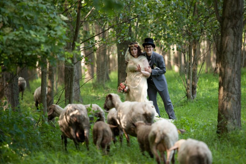 Regina and Mark cseh gabor wedding photography regina 22